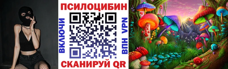 купить наркоту  Грайворон  Галлюциногенные грибы мицелий 